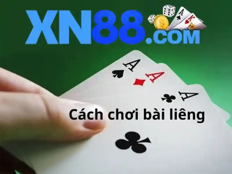 Xn88: một cái nhìn tổng quan về dự án và hệ sinh thái