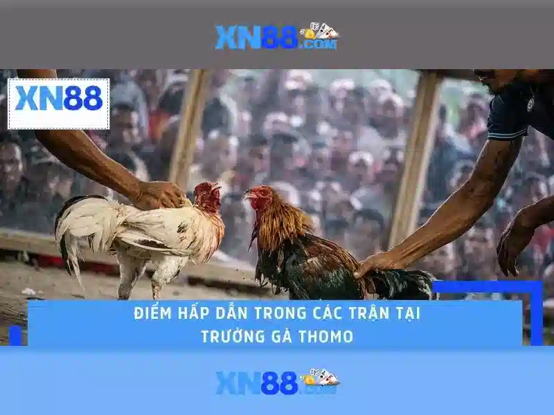 xn88 và hành trình khám phá nền tảng game trực tuyến