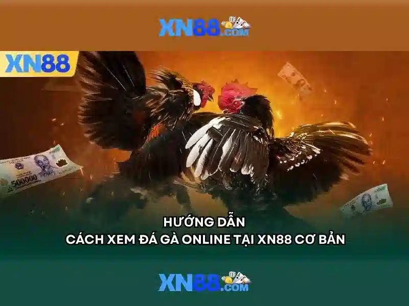 Giới thiệu về XN88