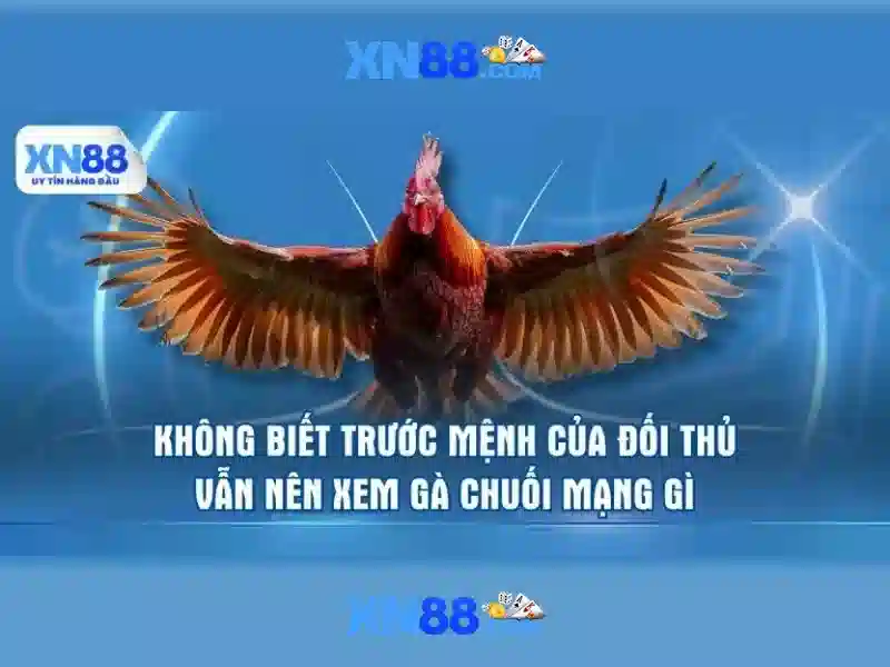 Hướng dẫn đăng ký và tham gia
