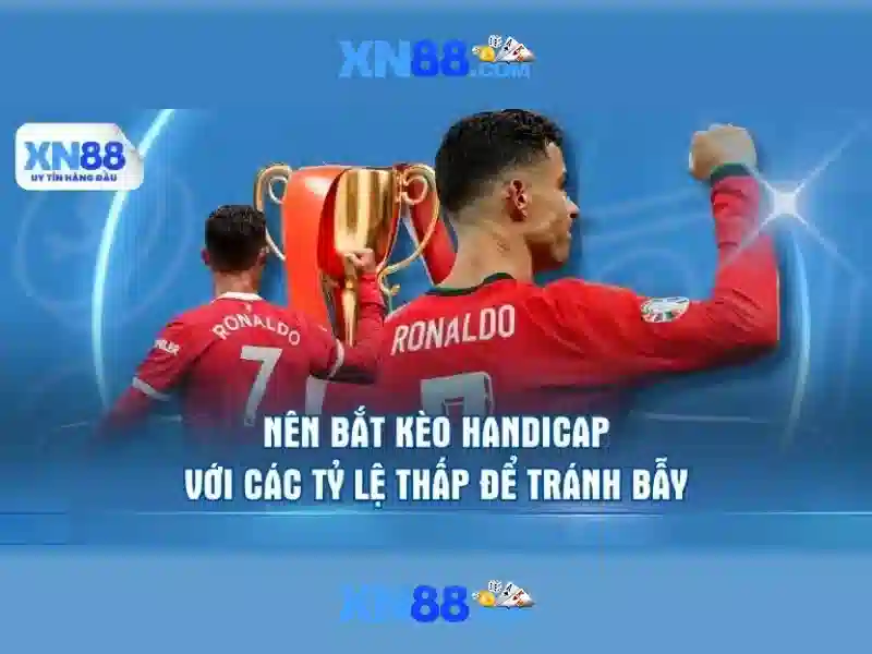 Chính sách bảo mật và điều khoản