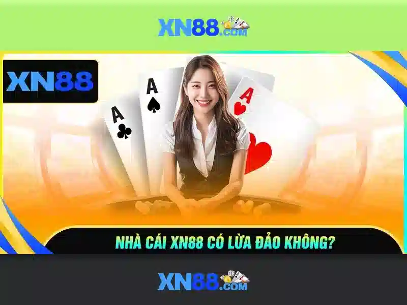 Trải nghiệm người dùng và hỗ trợ