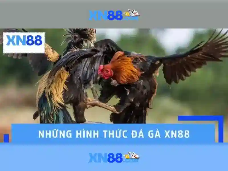 Cách hoạt động của xn88