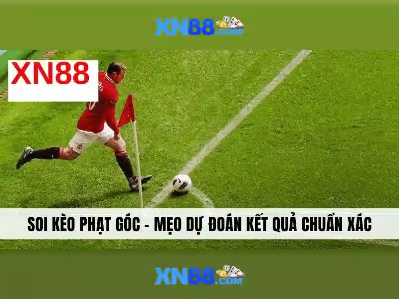 Văn hóa cá cược xn88