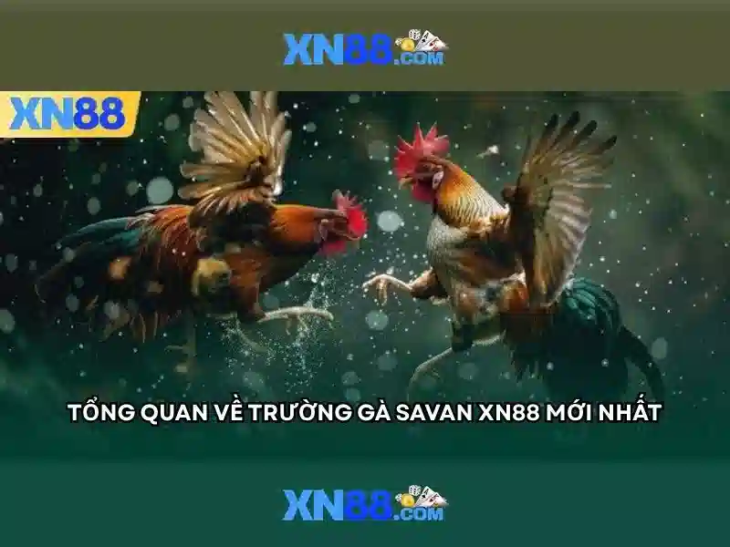 An toàn và bảo mật