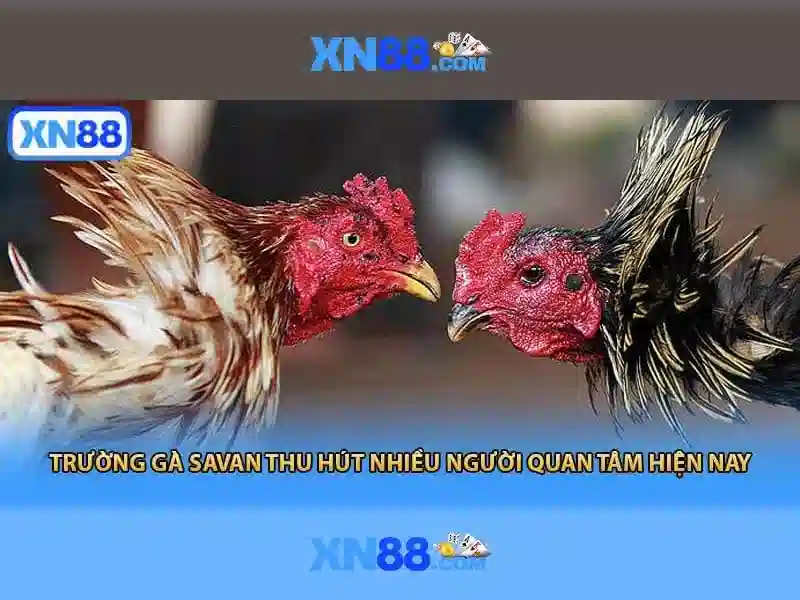 Giới thiệu về xn88