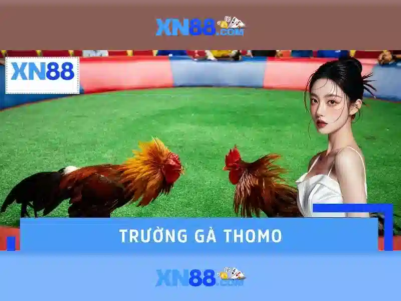 Lịch sử và nguồn gốc