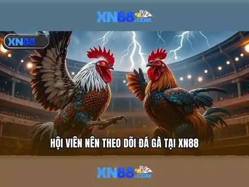 Lịch sử và nguồn gốc của Xn88