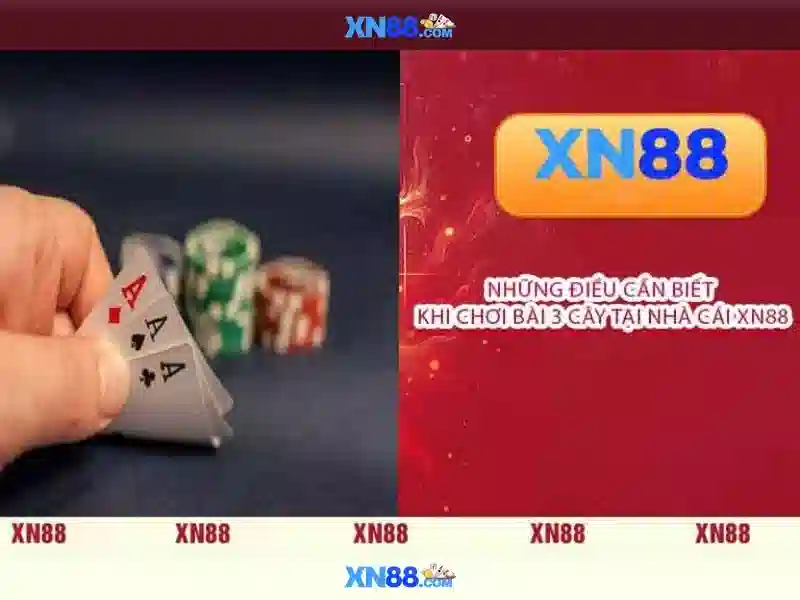 An toàn, bảo mật và pháp lý dành cho người dùng