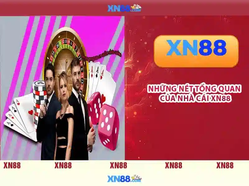 Trải nghiệm người dùng và hỗ trợ