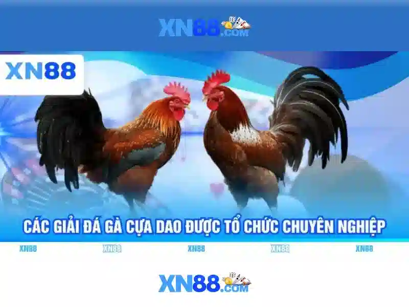 xn88: Đánh giá và tầm ảnh hưởng trong thế giới cá cược trực tuyến