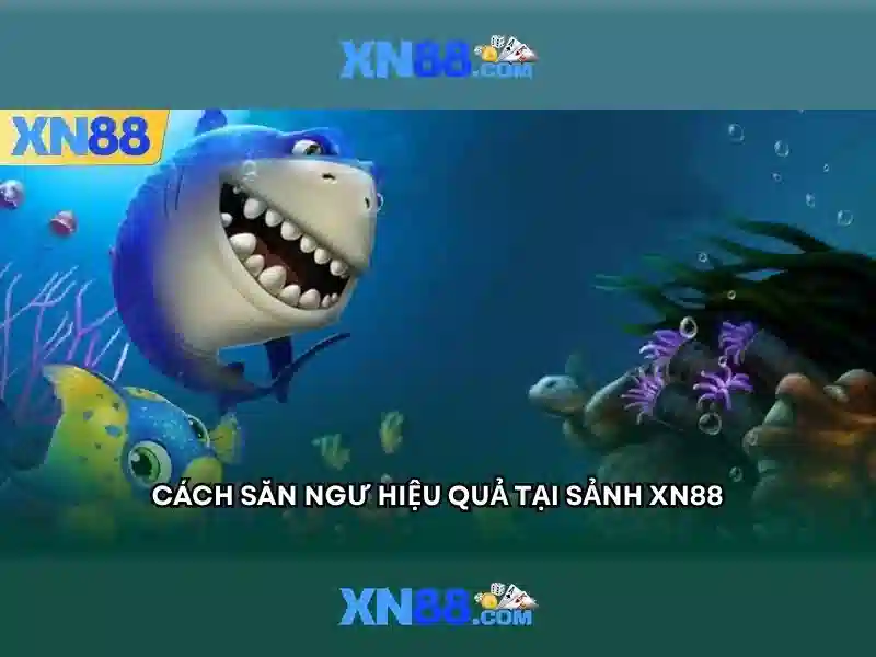 Trải nghiệm người dùng và giao diện