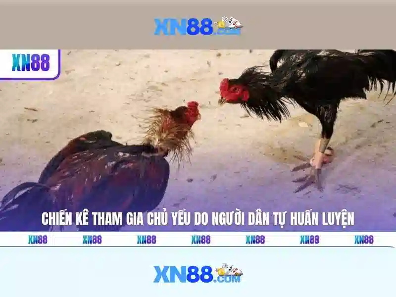 Cấu hình cơ bản và tính năng
