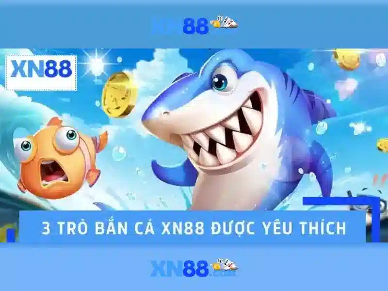 Tổng quan về xn88