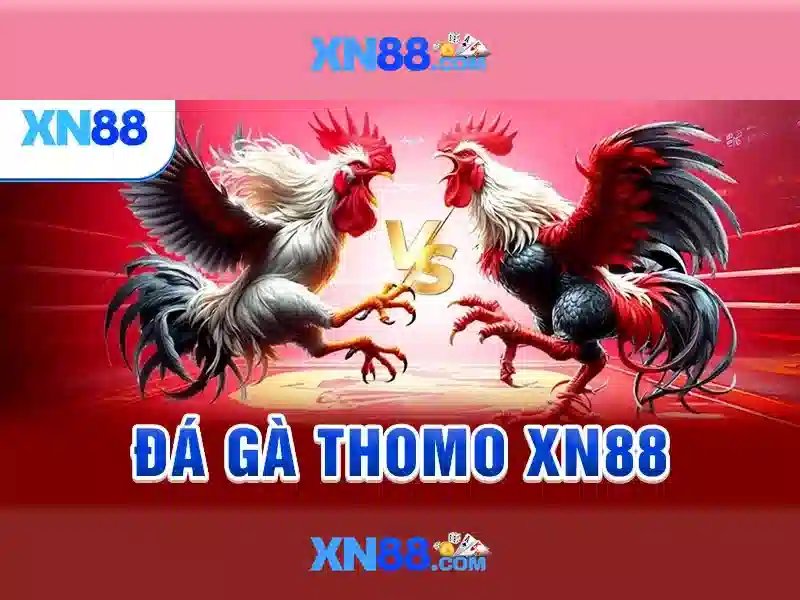 Uy-tin-nen-tang-xn88