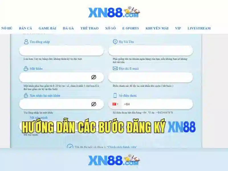 Nền tảng và lịch sử