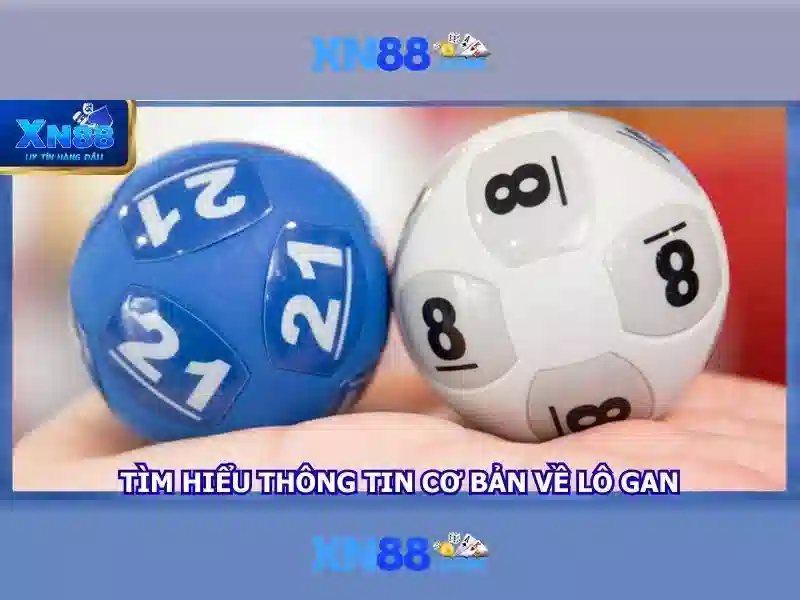 Cộng đồng và hỗ trợ