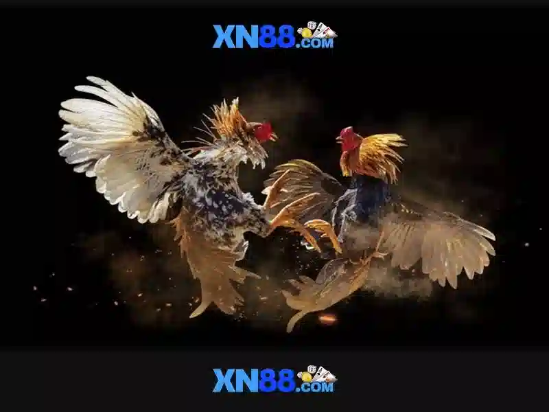 xn88: Tổng quan về nền tảng cá cược và trò chơi trực tuyến