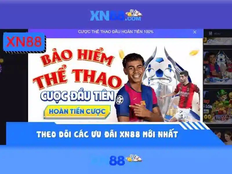 Chính sách trách nhiệm và hỗ trợ người dùng