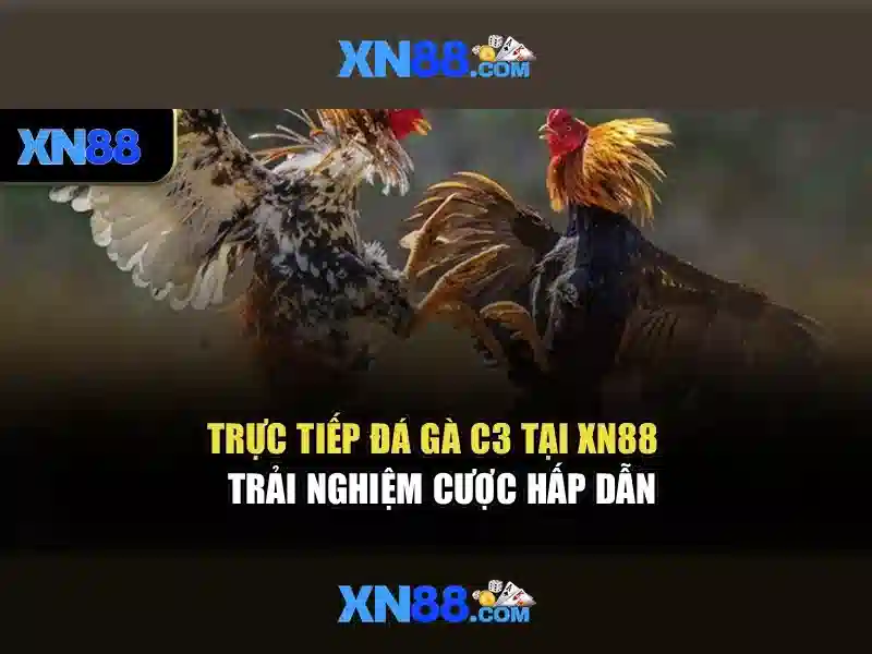xn88 là gì và cách chơi an toàn