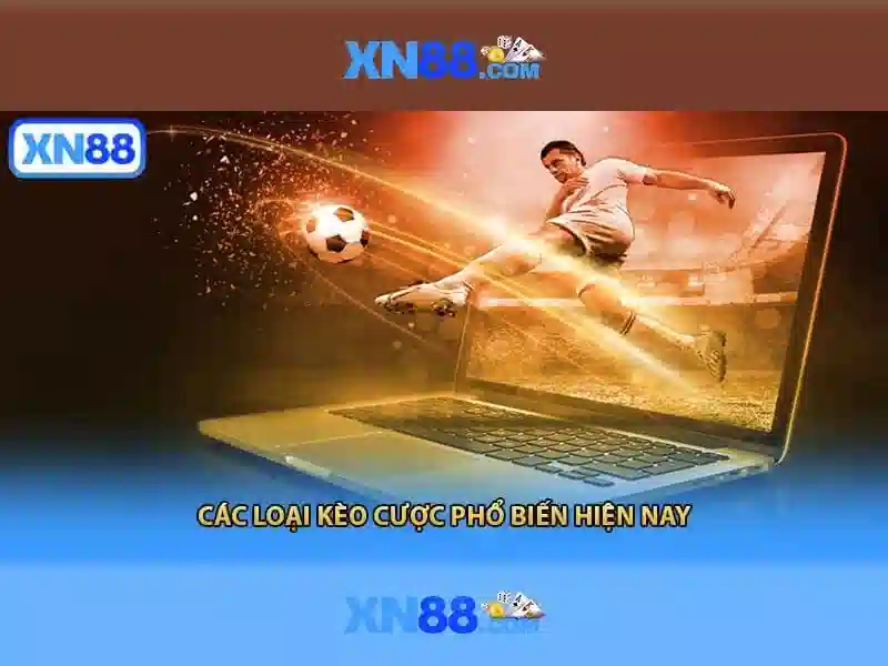 Giới thiệu về xn88
