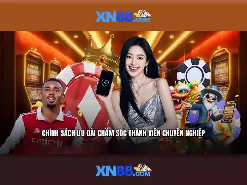 Nền tảng và trải nghiệm người dùng