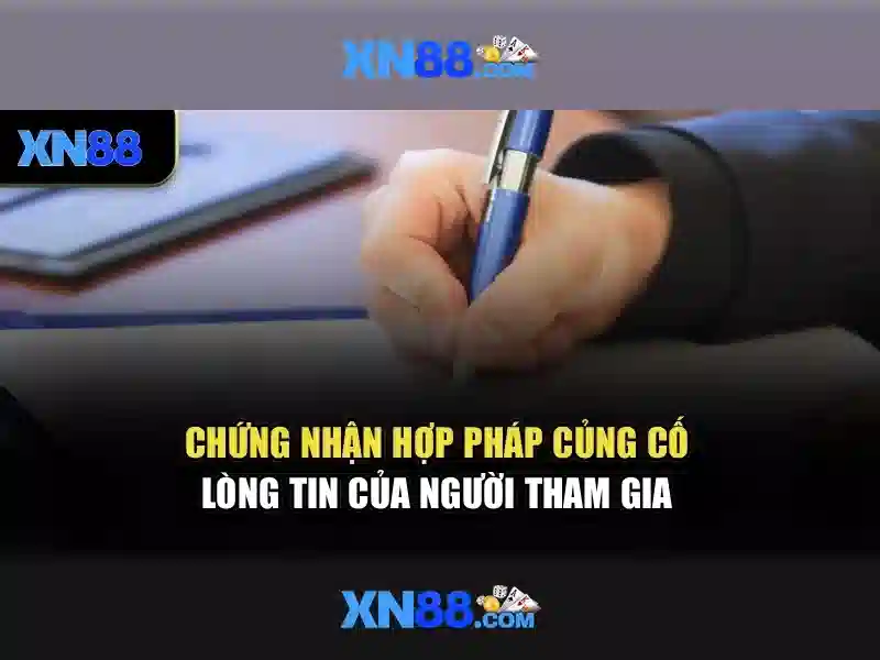 Giao diện và trải nghiệm người dùng