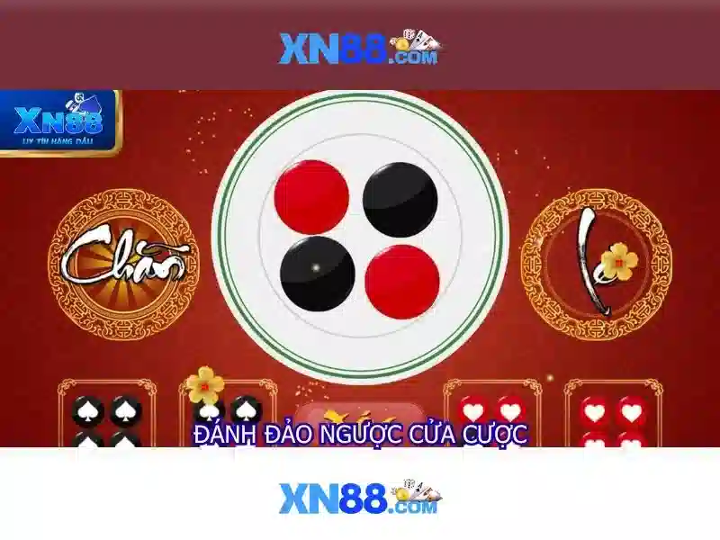 Lịch sử và mục tiêu của xn88