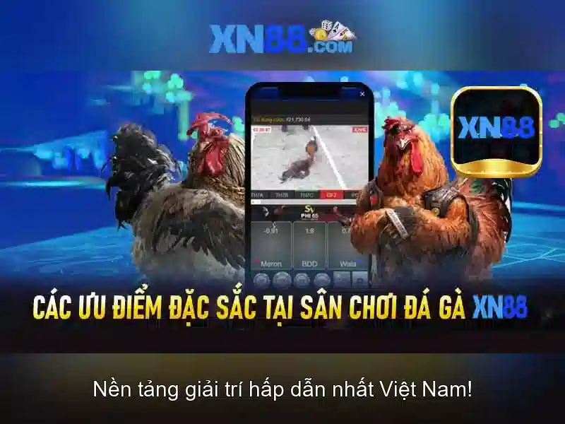 An toàn và bảo mật tài khoản