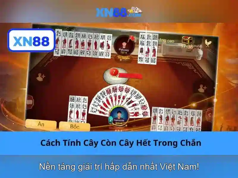 Các tính năng nổi bật