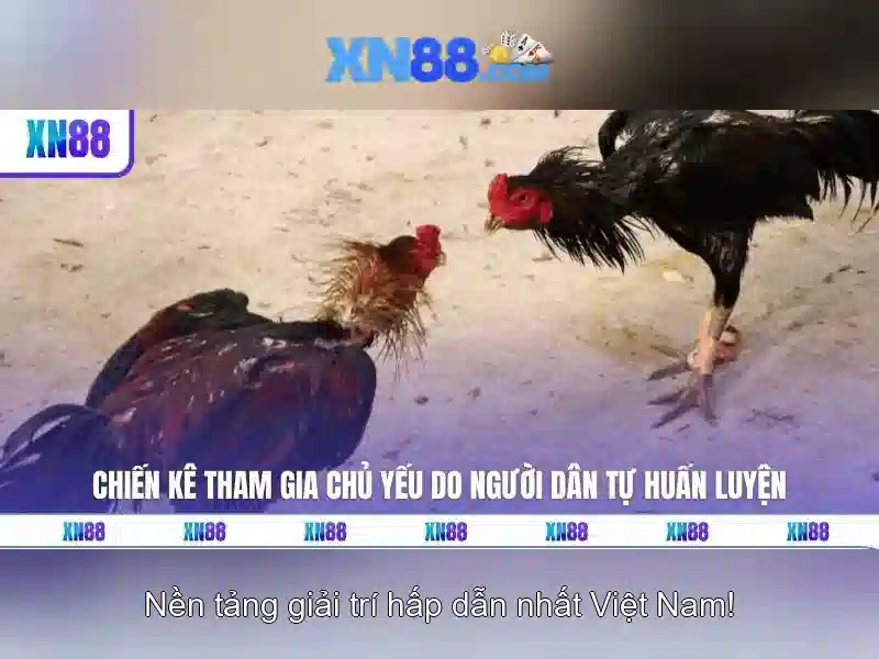 xn88 - Tổng quan và hướng dẫn