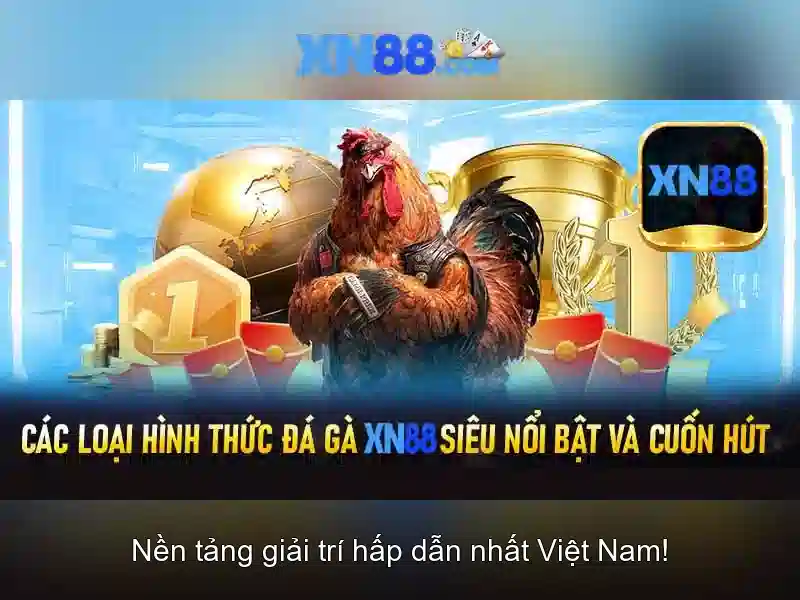 Giới thiệu về XN88