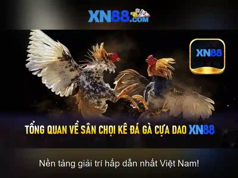 Trò chơi và danh mục