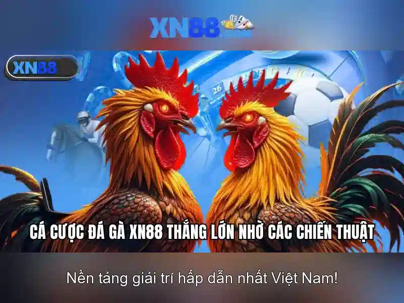 XN88: Nền tảng trực tuyến và trải nghiệm người dùng