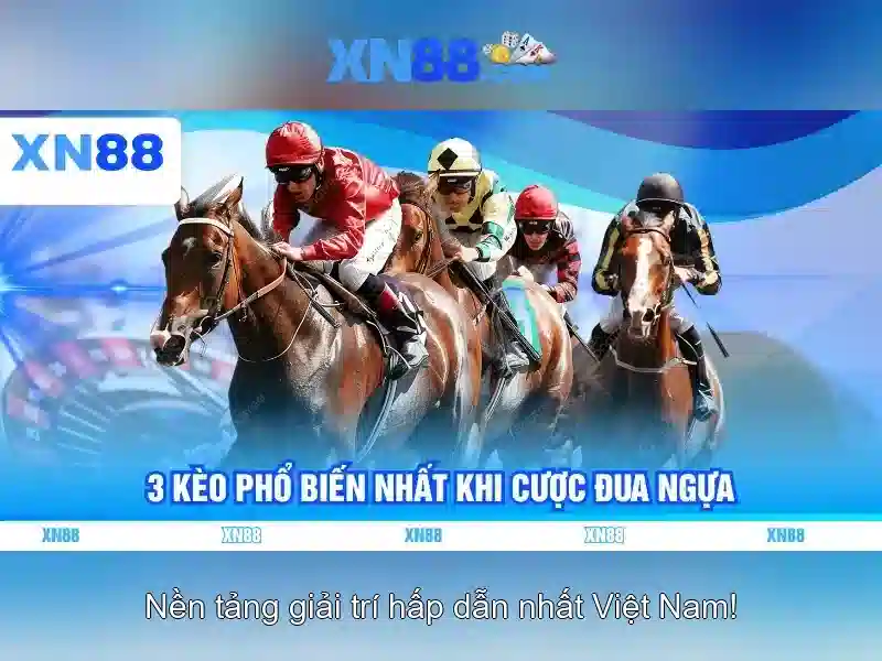 Cac lua choi thanh toan va quan ly tai khoan