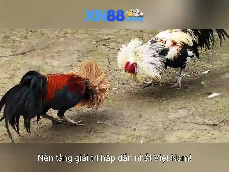 Tính năng và lợi ích