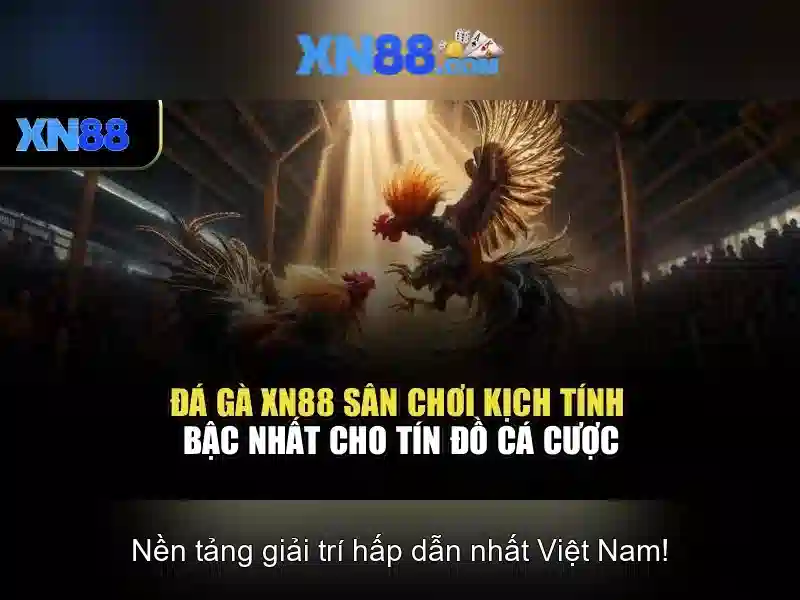 Kết luận