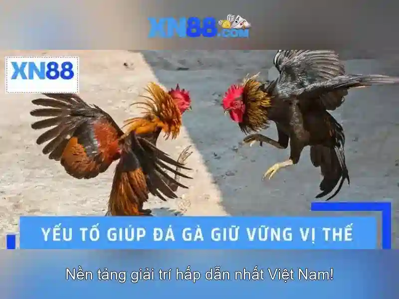 xn88 và sự đổi mới trong công nghệ