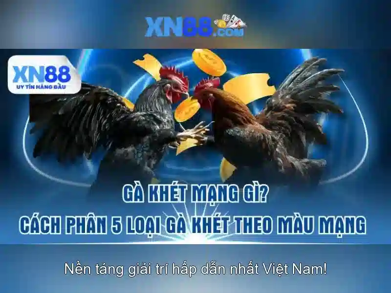 xn88: Nền tảng công nghệ và cộng đồng số