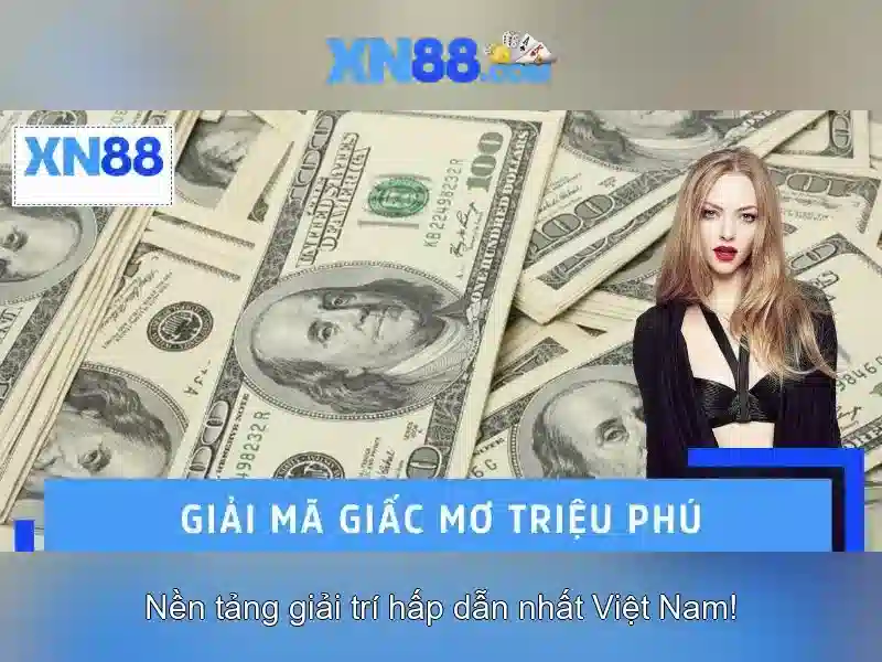 Lịch sử và nền tảng