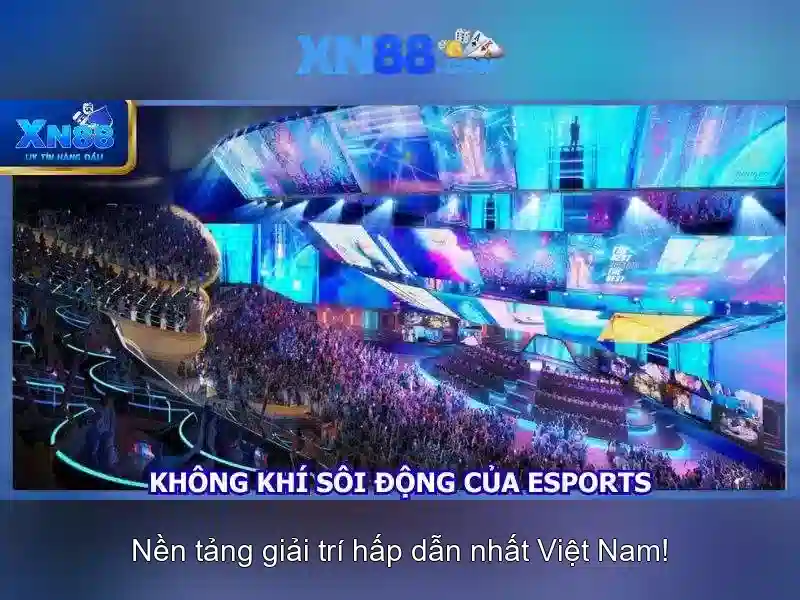 XN88: Tổng quan và nhận định