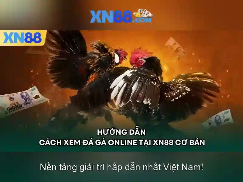 Xn88: Nền tảng trò chơi trực tuyến và đánh giá