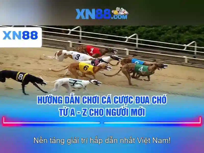 Giới thiệu về xn88