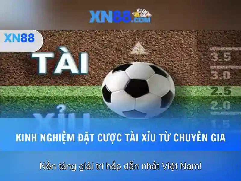 An toàn và bảo mật cho người chơi