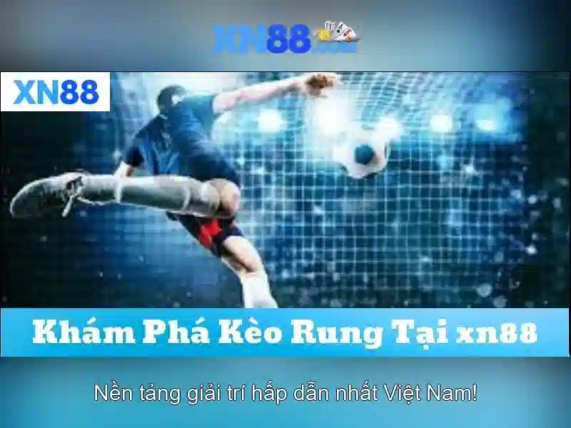 Hướng dẫn tham gia và hỗ trợ