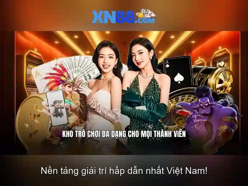 xn88: khái niệm, lịch sử và cơ hội