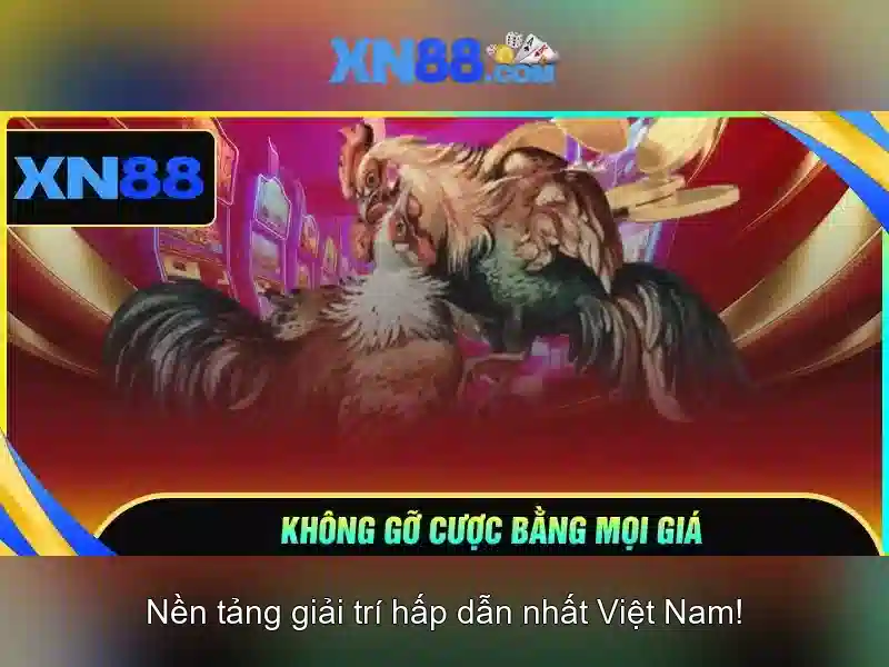 Giới thiệu xn88: Nền tảng cá cược trực tuyến