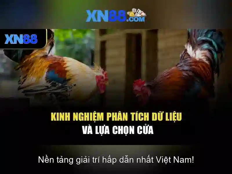 Tính năng nổi bật