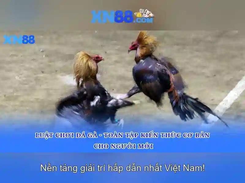 Tính năng nổi bật của xn88