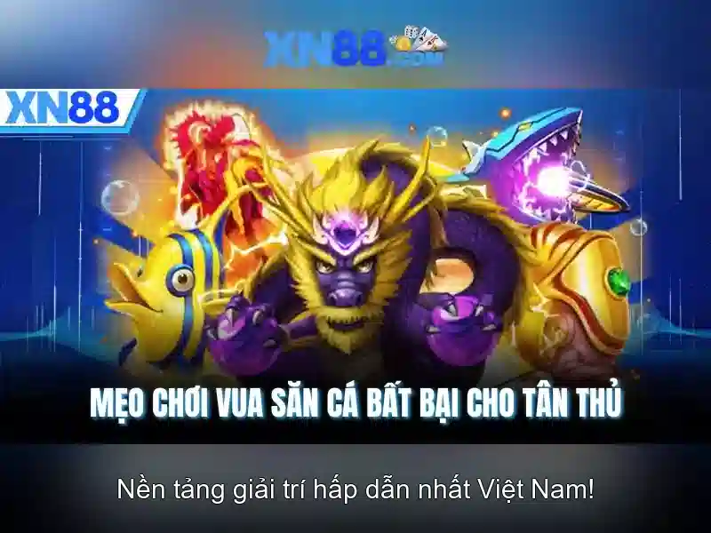 Quy-trinh-nap-rut-xn88